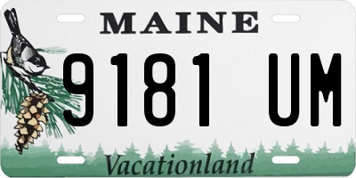 ME license plate 9181UM