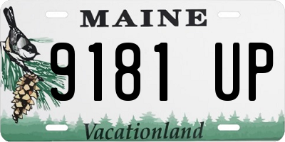 ME license plate 9181UP