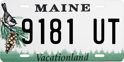ME license plate 9181UT