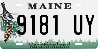 ME license plate 9181UY