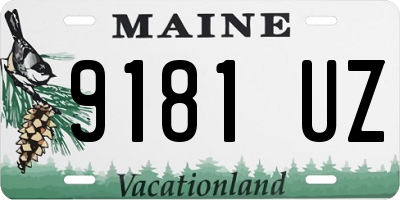 ME license plate 9181UZ
