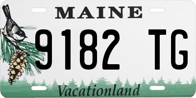ME license plate 9182TG