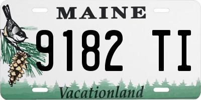 ME license plate 9182TI