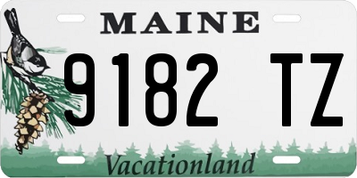 ME license plate 9182TZ