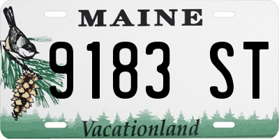 ME license plate 9183ST