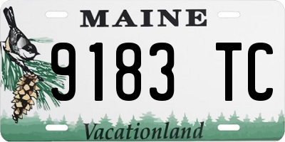ME license plate 9183TC