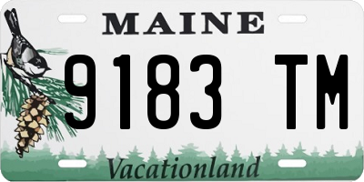 ME license plate 9183TM