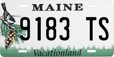 ME license plate 9183TS