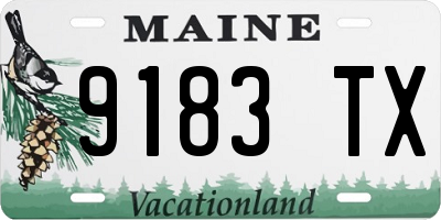 ME license plate 9183TX