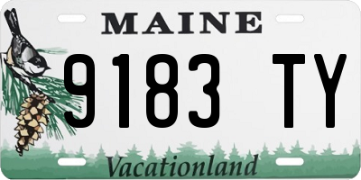 ME license plate 9183TY
