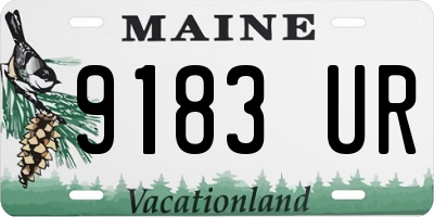ME license plate 9183UR