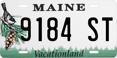 ME license plate 9184ST