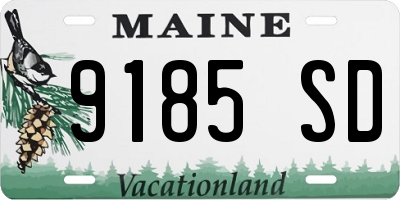 ME license plate 9185SD