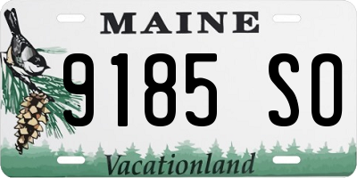 ME license plate 9185SO