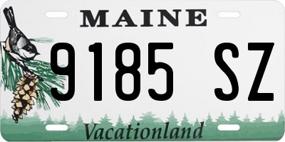ME license plate 9185SZ