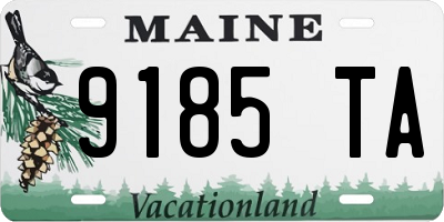ME license plate 9185TA