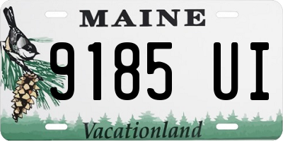ME license plate 9185UI