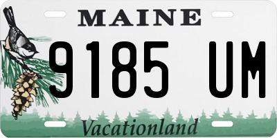 ME license plate 9185UM