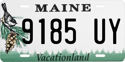 ME license plate 9185UY