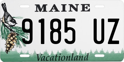 ME license plate 9185UZ