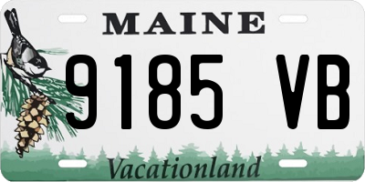 ME license plate 9185VB