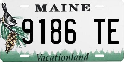 ME license plate 9186TE