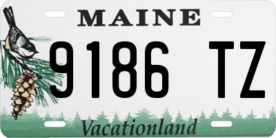 ME license plate 9186TZ