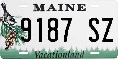 ME license plate 9187SZ