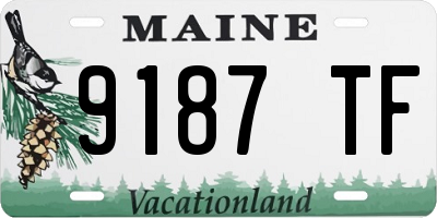 ME license plate 9187TF