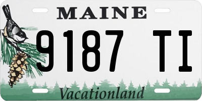 ME license plate 9187TI