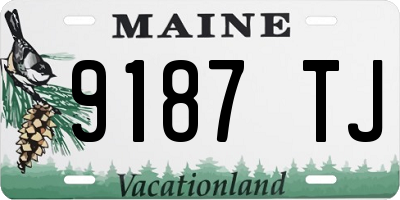 ME license plate 9187TJ
