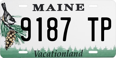ME license plate 9187TP