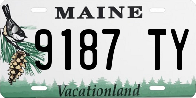 ME license plate 9187TY