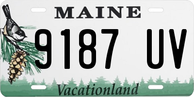 ME license plate 9187UV
