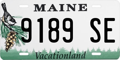 ME license plate 9189SE