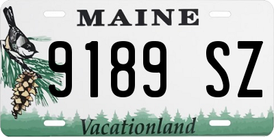 ME license plate 9189SZ