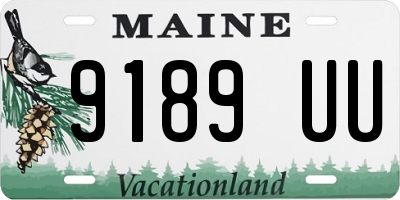 ME license plate 9189UU