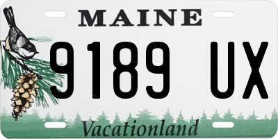 ME license plate 9189UX