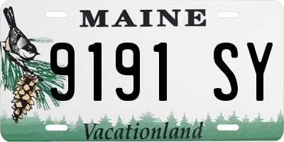 ME license plate 9191SY