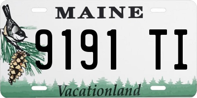 ME license plate 9191TI
