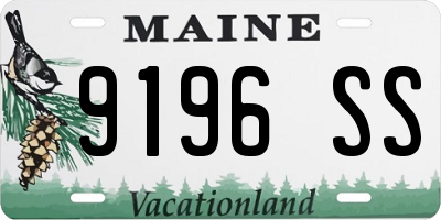ME license plate 9196SS