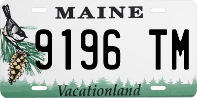 ME license plate 9196TM