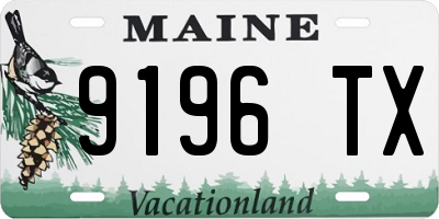 ME license plate 9196TX