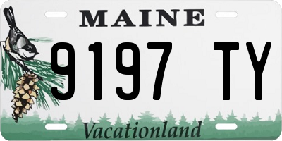 ME license plate 9197TY