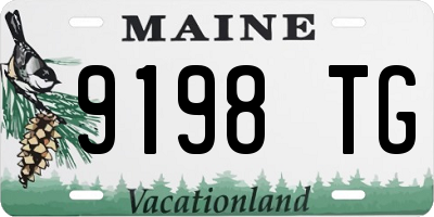 ME license plate 9198TG
