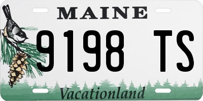 ME license plate 9198TS