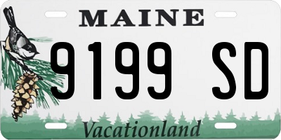 ME license plate 9199SD
