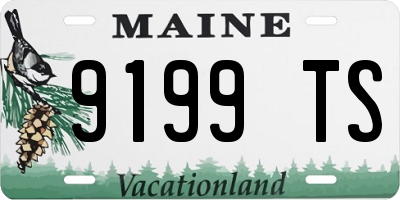 ME license plate 9199TS