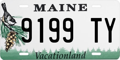 ME license plate 9199TY