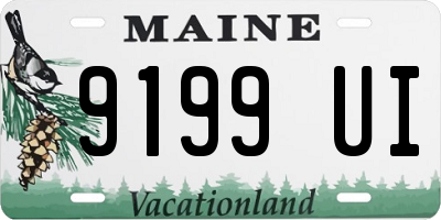 ME license plate 9199UI